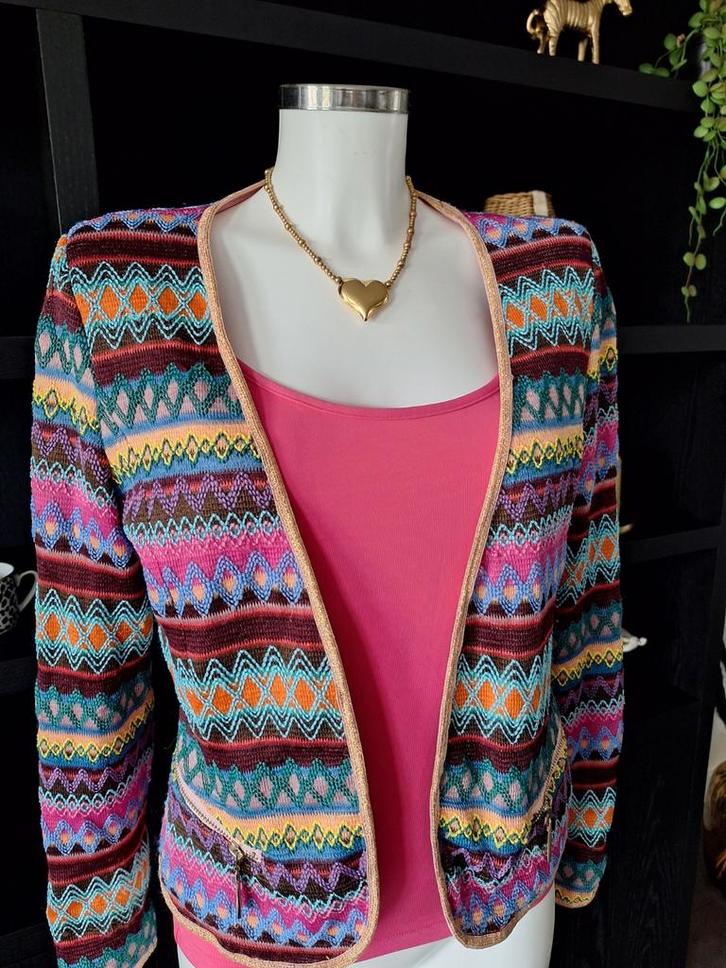 Prachtig meerkleurig vestje met gouden bies maat L  38 40, Kleding | Dames, Truien en Vesten, Nieuw, Maat 38/40 (M), Ophalen of Verzenden