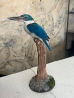 Prachtige Nieuw Opgezette Witkraag Ijsvogel Taxidermie, Ophalen of Verzenden, Nieuw, Vogel, Opgezet dier