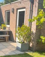 Bloempot vierkant betonlook, Ophalen, Vierkant