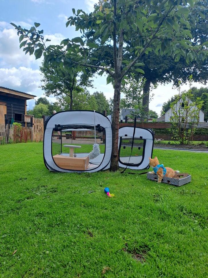 Bench, pop-up, Dieren en Toebehoren, Overige Dieren-accessoires, Zo goed als nieuw, Ophalen of Verzenden