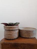 Set retro vintage bloempot cactusschaal, Rond, Ophalen of Verzenden, Zo goed als nieuw, Minder dan 25 cm