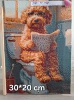 Diamond Painting Hond Leest Boek 30x20 cm, Ophalen of Verzenden, Nieuw, Schilderen op nummer