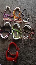 Sint en kerst tip!  

Halsters met bont maat full, Dieren en Toebehoren, Paarden en Pony's | Hoofdstellen en Tuigage, Ophalen of Verzenden