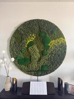 Mooie mos wanddecoratie, Ophalen, Zo goed als nieuw