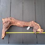 Mopani wood., Dieren en Toebehoren, Ophalen of Verzenden, Nieuw, Plant(en), Steen of Hout