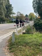 Timmerman, Tuin en Terras, Tuinhekken en Hekwerk, Ophalen of Verzenden, Nieuw, Tuinhek