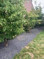 Gratis af te halen Grind/Split!, Ophalen, Gebruikt, Grind, Grijs