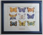 Anne Geddes vlinderbabies print in kunststof lijst, Minder dan 50 cm, Print, Ophalen of Verzenden, Zo goed als nieuw