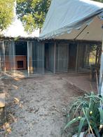 Honden opvang, Pension of Dagopvang