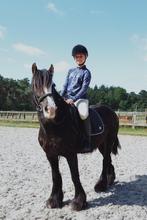 Brave, knappe tinker merrie 7 jaar, Dieren en Toebehoren, Pony's, Merrie, B, C pony (1.27m tot 1.37m), 7 tot 10 jaar