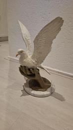 witte duif beeld, Meerdere dieren, Overige soorten