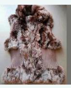 Bodywarmer, Kleding | Dames, Bodywarmers, Ophalen of Verzenden, Zo goed als nieuw, Maat 38/40 (M)