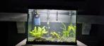 Klein aquarium compleet, Dieren en Toebehoren, Vissen | Aquaria en Toebehoren, Ophalen, Zo goed als nieuw, Gevuld zoetwateraquarium