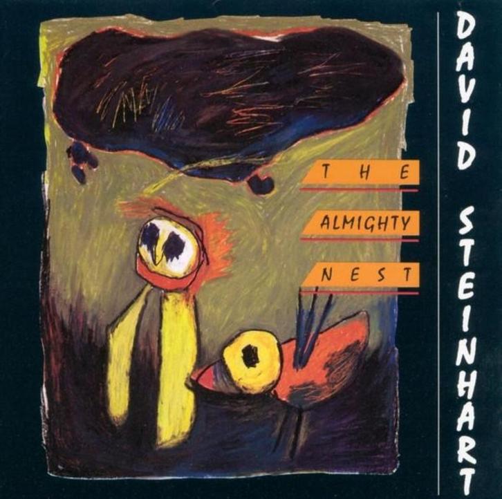 cd van David Steinhart - The Almighty Nest, Cd's en Dvd's, Cd's | Pop, Zo goed als nieuw, 1980 tot 2000, Verzenden