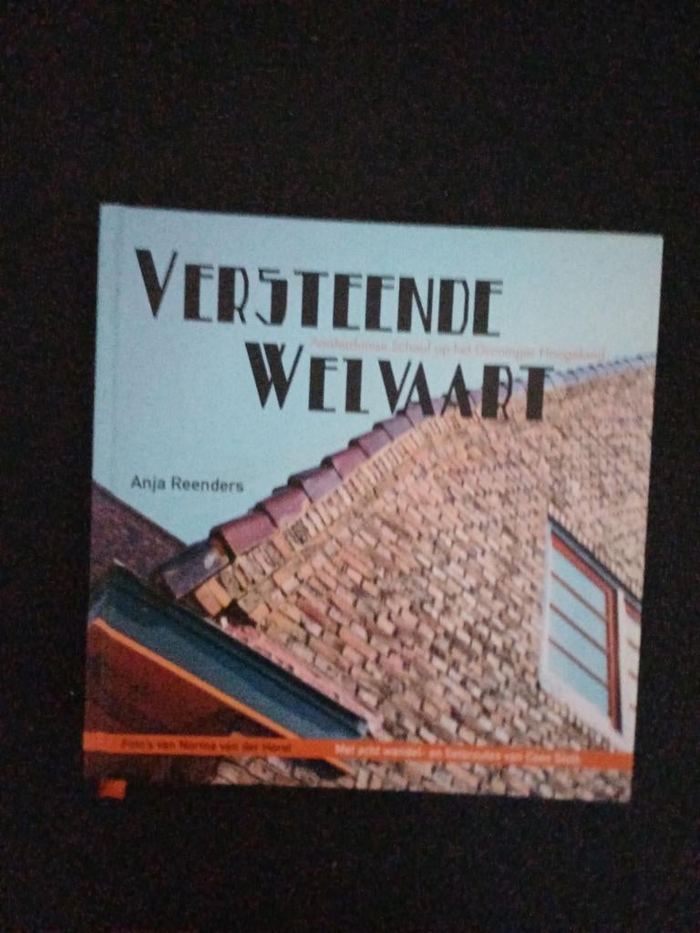 Versteende Welvaart - Groninger School, Boeken, Kunst en Cultuur | Architectuur, Ophalen of Verzenden, Zo goed als nieuw, Architectuur algemeen