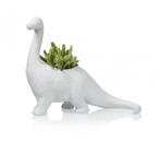 Dino Bloempot Plantosaurus - Bitten Design, Ophalen of Verzenden, Gebruikt, Minder dan 50 cm