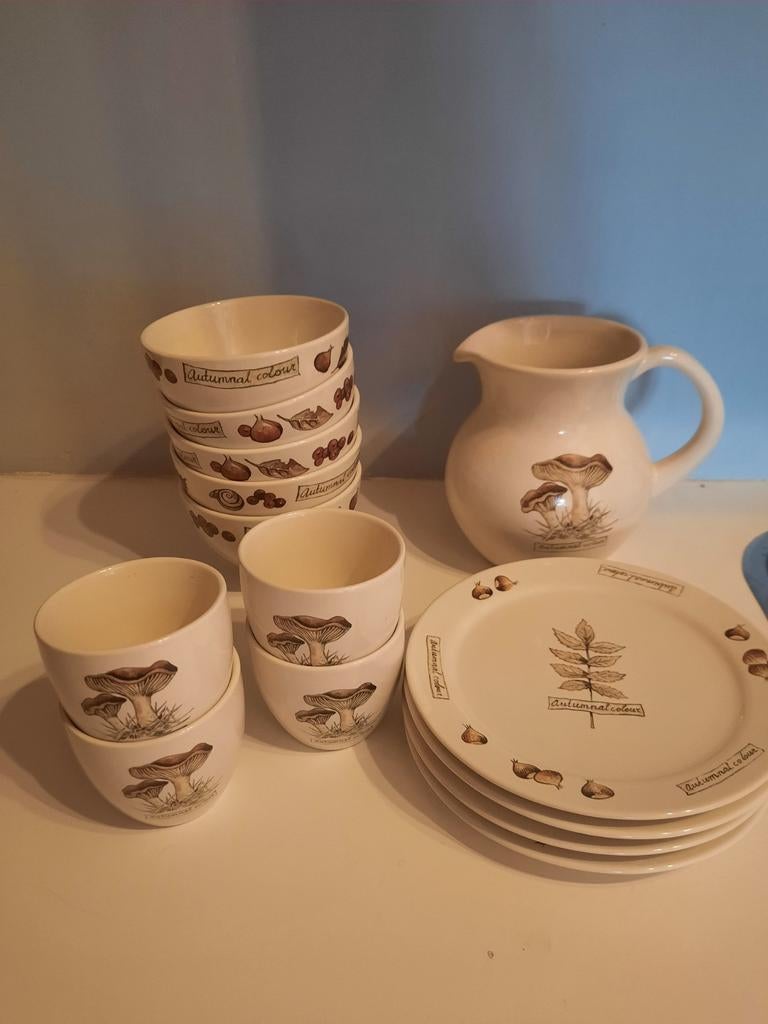 Mooi herfst servies, Ophalen of Verzenden