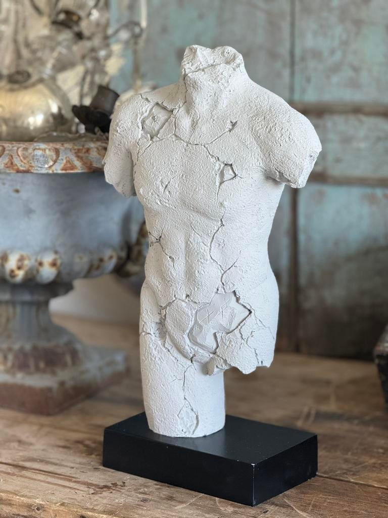 Beeld mannelijk torso, 44 cm hoog, Ophalen of Verzenden, Zo goed als nieuw