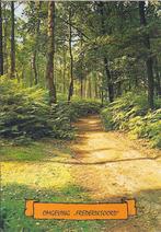 Omgeving Frederiksoord Gelopen Ansichtkaart A955, Ophalen of Verzenden, 1940 tot 1960, Gelopen