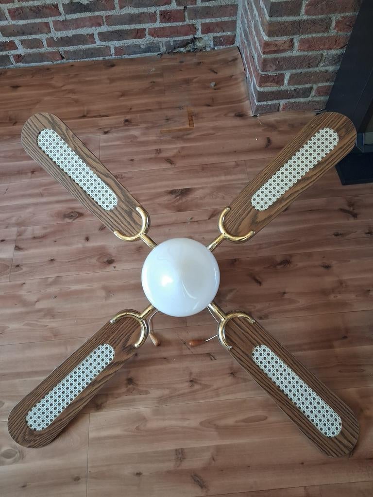 Plafond Ventilator met lamp., Ophalen, Plafondventilator