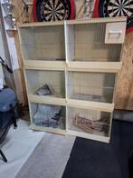 Broedkooien, Dieren en Toebehoren, Vogels | Hokken en Kooien, Ophalen of Verzenden, Kunststof, Broedkooi of Kweekkooi