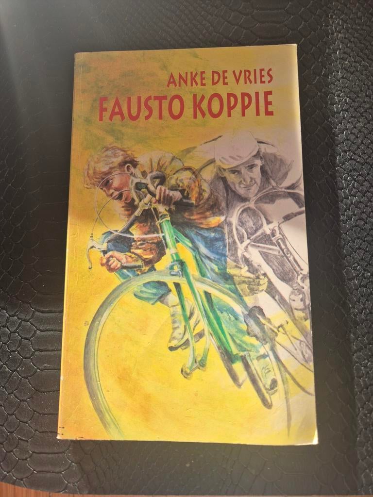 Fausto koppie, Boeken, Ophalen of Verzenden, Anke de Vries