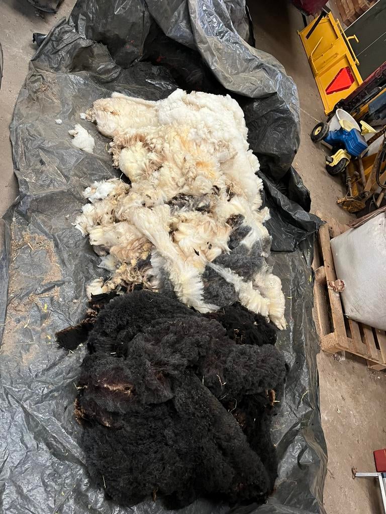 Schapenwol, Hobby en Vrije tijd, Ophalen, Zo goed als nieuw, Spinwol