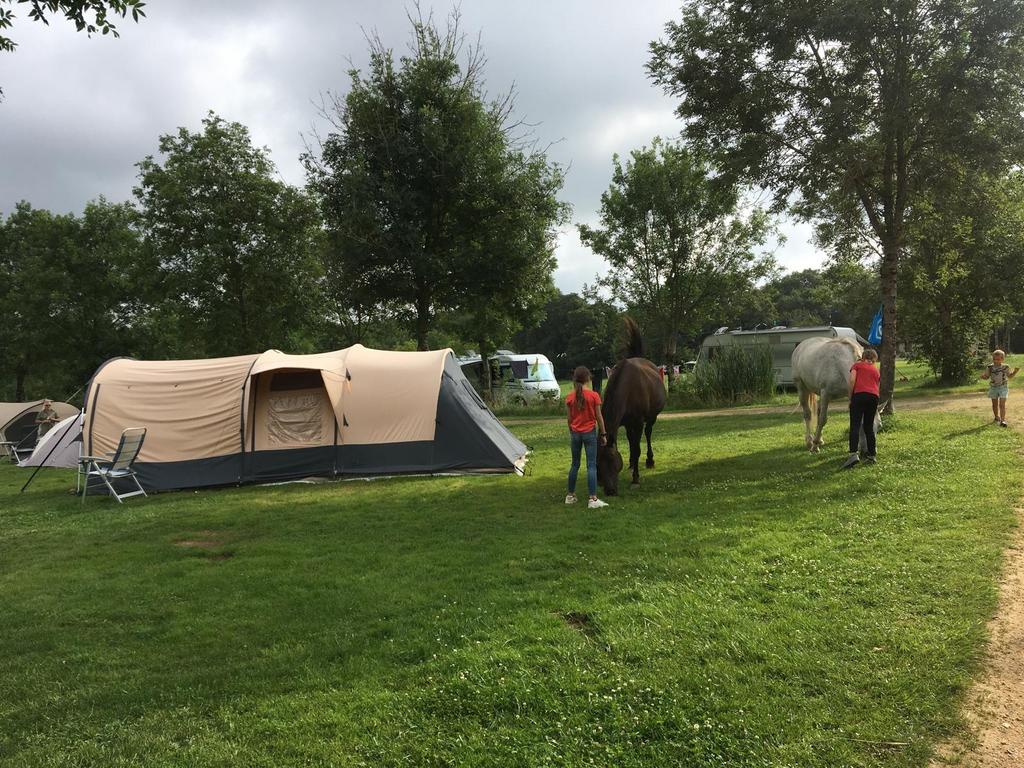 Safarica Livingstone TC 4-5 persoons gezinstent, Ophalen, Gebruikt, Tot en met 5