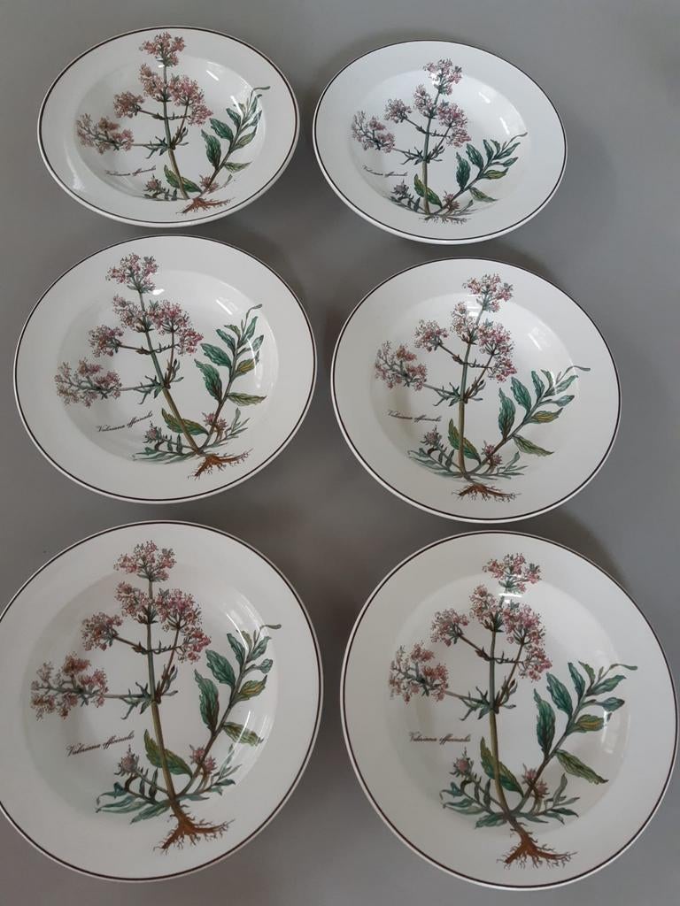Diepe borden Villeroy en Boch Botanica, Huis en Inrichting, Keuken | Servies, Ophalen of Verzenden, Zo goed als nieuw, Bord(en)
