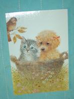 21) Kleuren ansichtkaart  Poes + Hond, Ophalen of Verzenden, 1980 tot heden, Gelopen, Hond of Kat