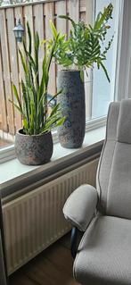 Mooie grote potten met planten van Intratuin, Ophalen