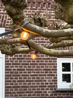 Prikkabel 20 meter, Meerdere dieren