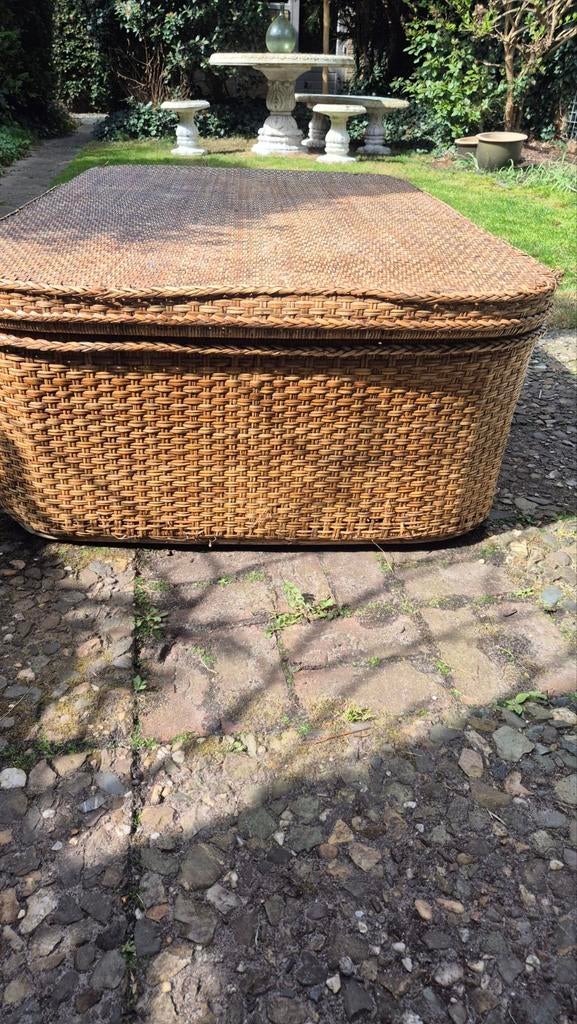 Grote rotan opbergkist / salontafel (140x90x45cm), Huis en Inrichting, Woonaccessoires | Kisten, Ophalen, 100 tot 150 cm, Minder dan 50 cm