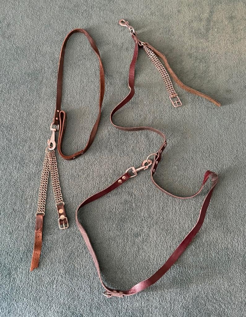 Hondenriem, Ophalen of Verzenden, Gebruikt