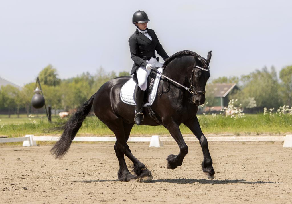 Ervaren paardeneigenaar zoekt verzorgpaard (omg Maarssen), Dieren en Toebehoren, Paarden en Pony's | Overige Paardenspullen, Ophalen