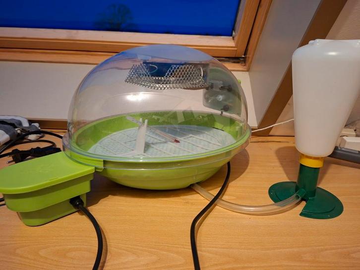 Fiem broedmachine, volautomaat, Dieren en Toebehoren, Pluimvee, Kip, Geslacht onbekend