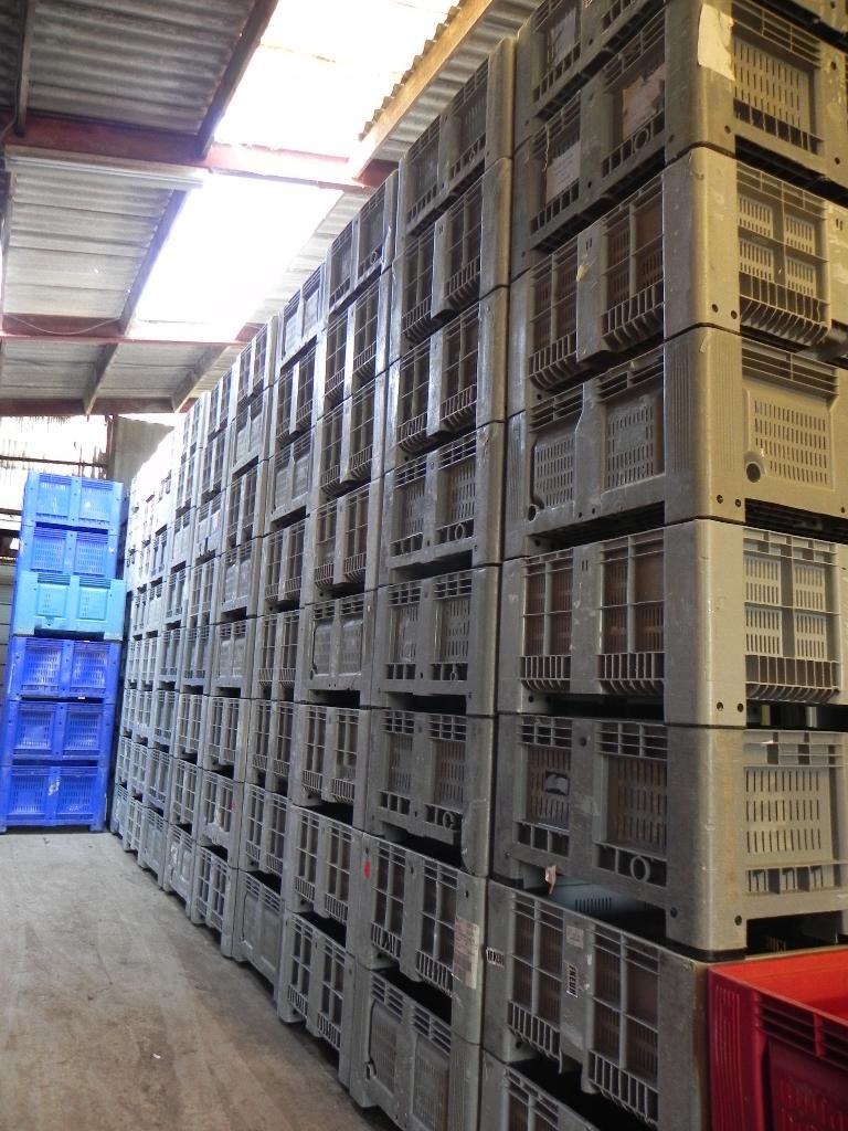 Kunststof bakken geperforeerd v.oa. hooi, e.d, Dieren en Toebehoren, Weidegang