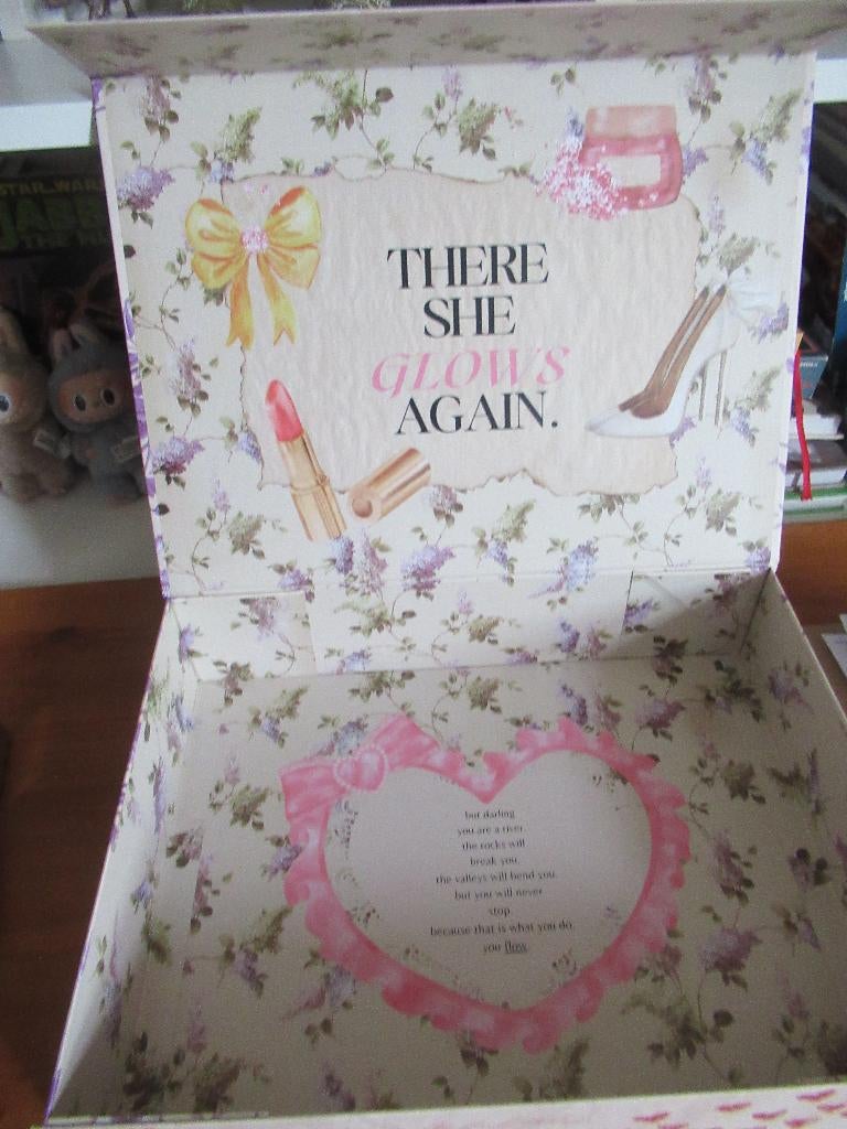 1 x lege BEAUTÉ et VOGUE BOX / bewaardoos (heb er 5), Ophalen of Verzenden, Nieuw, Overige typen