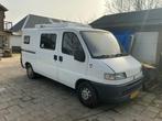 Fiat Ducato 14 originele buscamper met grote zijtent, Caravans en Kamperen, Campers, Buscamper of Camperbus, Reservewiel, Fiat