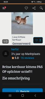 OPLICHTER !! ... zijn weer bezig politie is al op de hoogte!, Dieren en Toebehoren