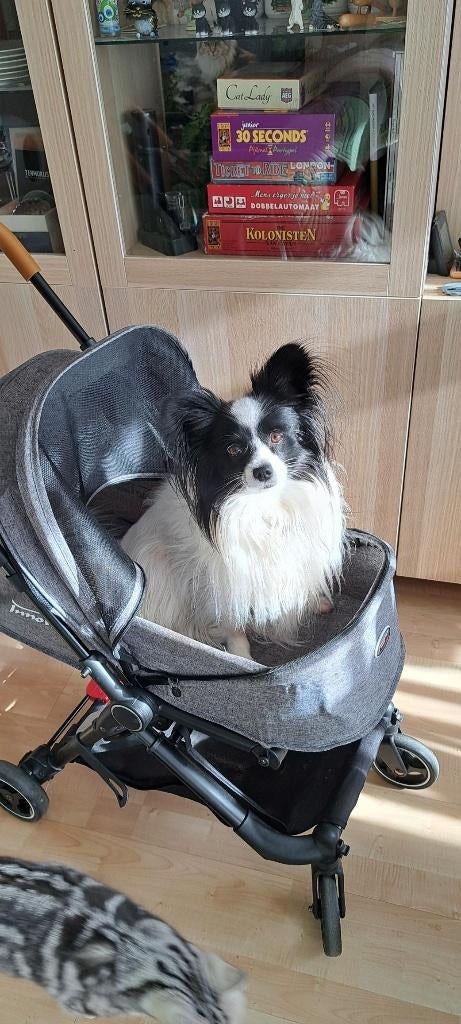 hond buggy city hopper, Ophalen of Verzenden, Gebruikt