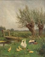 Constant artz (1870-1951) - eendjes in polder - 69x59cm, Ophalen of Verzenden