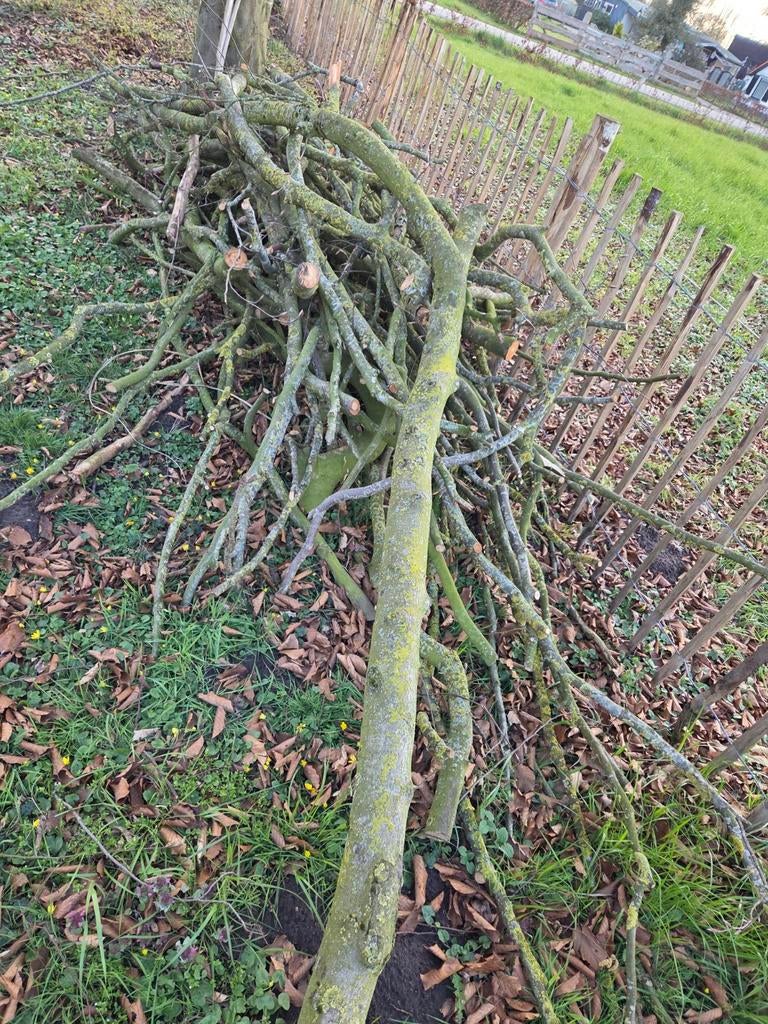 Haardhout, brandhout, takken, Minder dan 3 m³, Ophalen