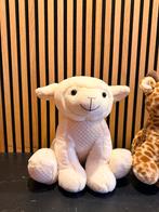Zachte Knuffelbeer - Perfect voor Knuffels!, Ophalen of Verzenden, Zo goed als nieuw, Overige typen