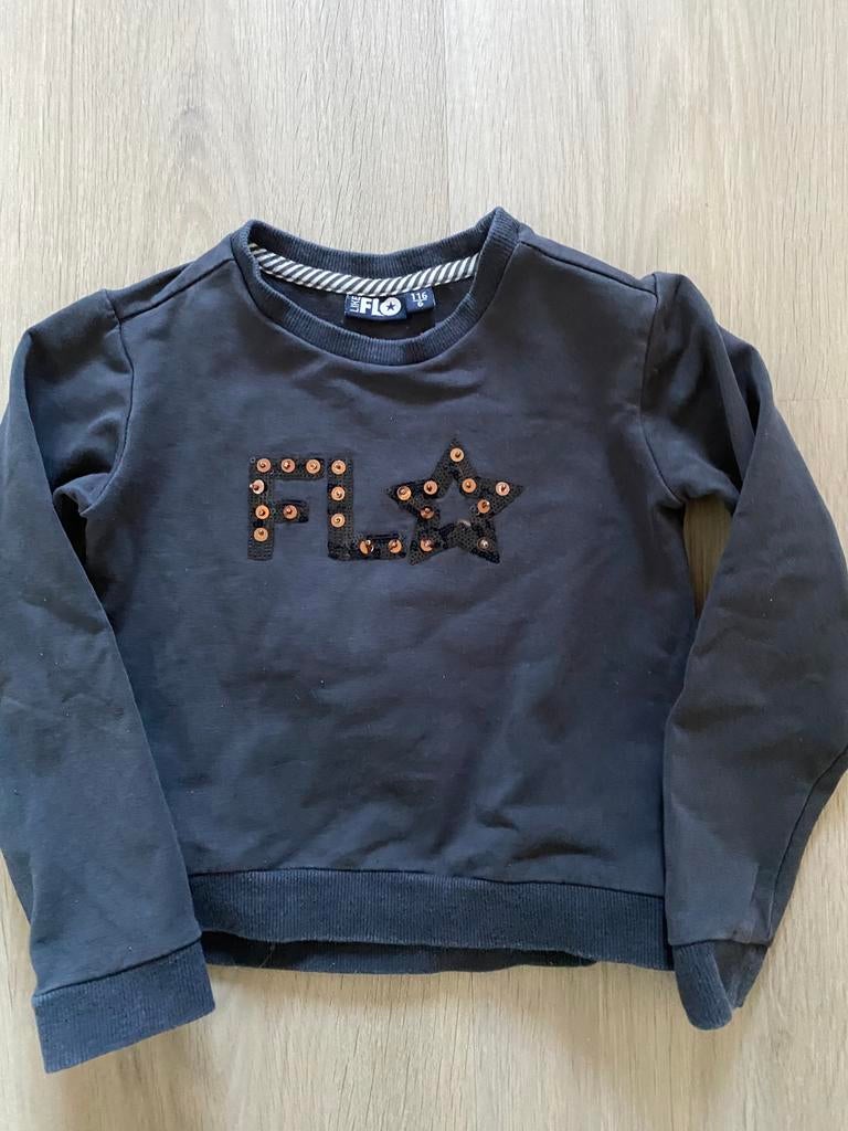 Like flo trui maat 116 trui, Kinderen en Baby's, Kinderkleding | Maat 116, Ophalen of Verzenden, Gebruikt, Meisje, Trui of Vest