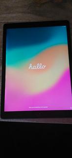 Ipad Pro (12,9 inch) 2e generatie 2017 256GB, Computers en Software, Apple iPads, Ophalen, 12 inch, Grijs, Apple iPad