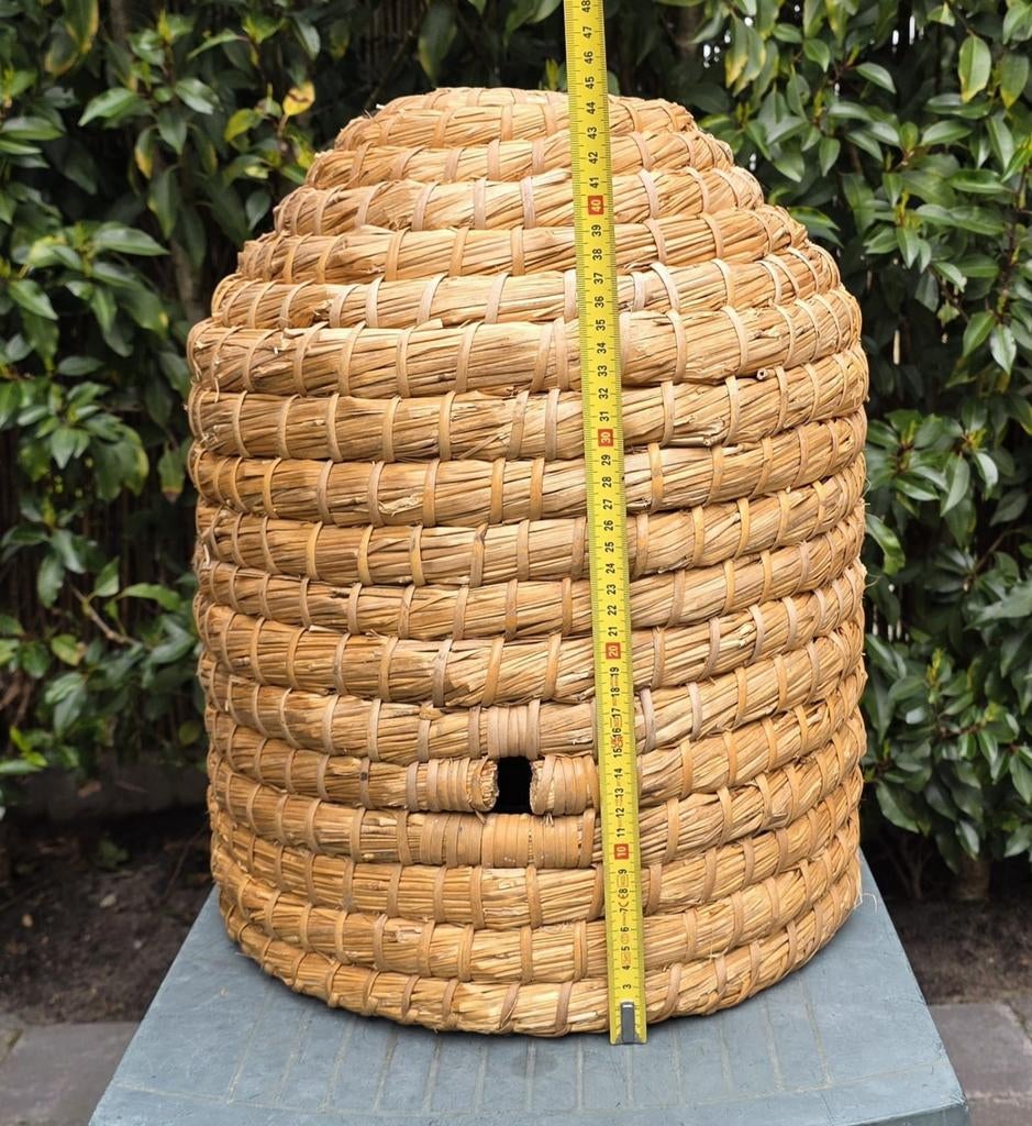 Bijenkorf circa 45x37, Bijen