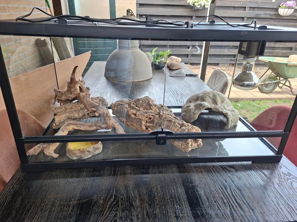 Terrarium plus toebehoren, Dieren en Toebehoren, Reptielen en Amfibieën | Toebehoren, Ophalen