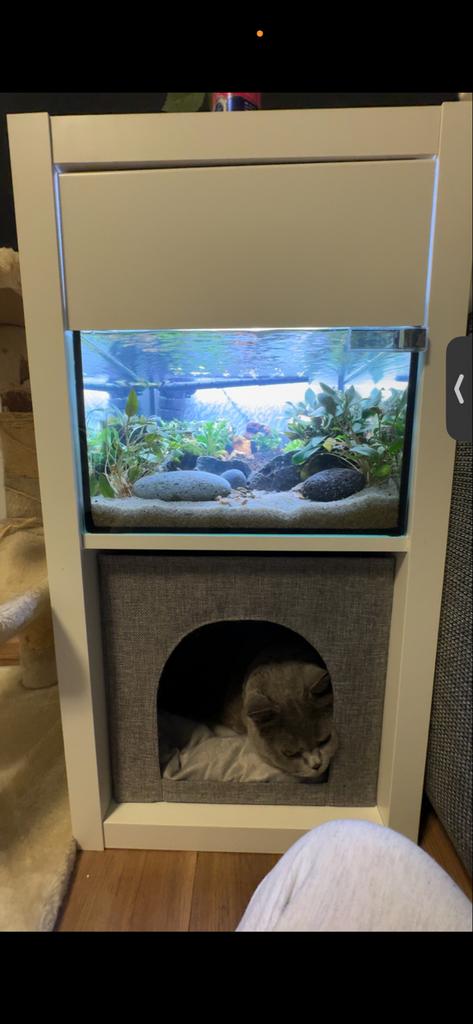 Kallax aquarium volledige set, Ophalen of Verzenden, Leeg aquarium