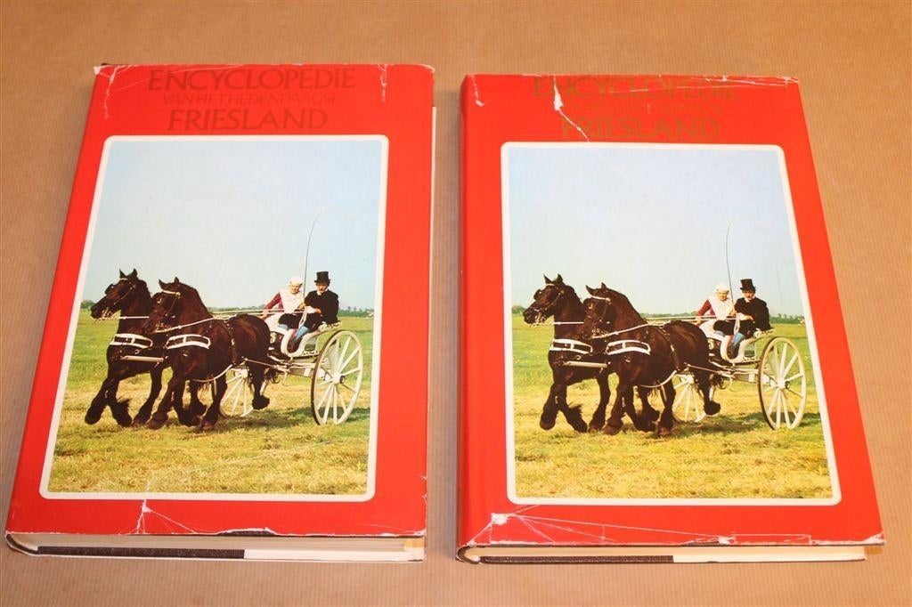 Encyclopedie Friesland — Complete Set 2 Delen, Ophalen of Verzenden, Gelezen